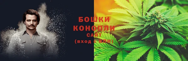 винт Богданович