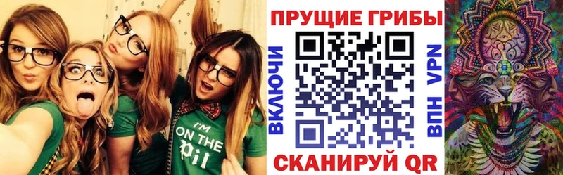 цена   нарко площадка какой сайт  Псилоцибиновые грибы Cubensis  Пятигорск 