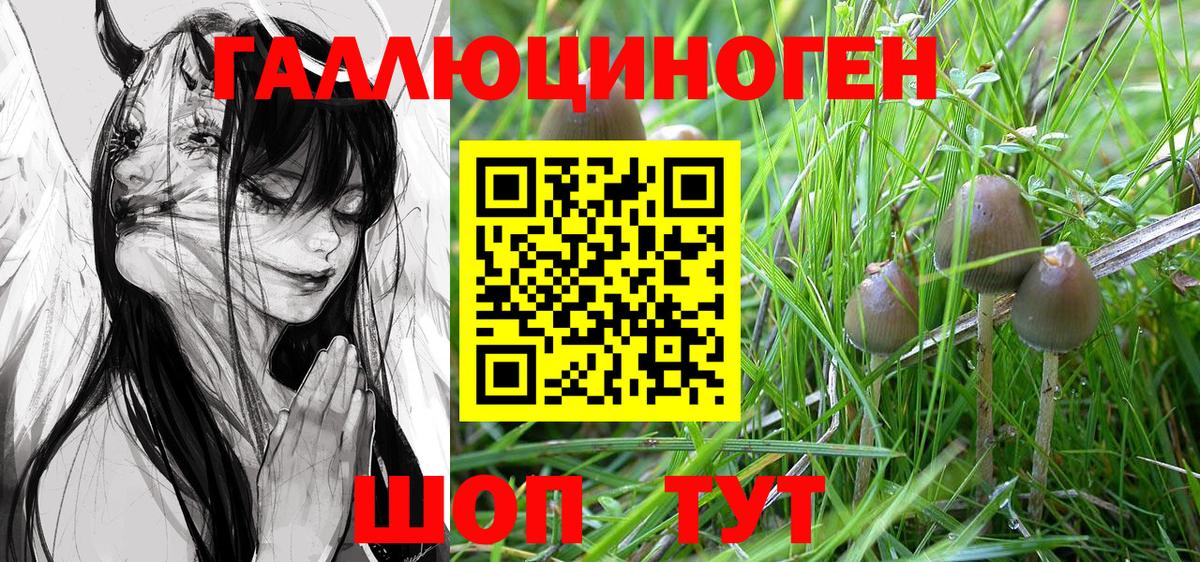 Псилоцибиновые грибы Psilocybine cubensis  Вход с VPN  Пятигорск 